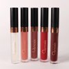 Osmosis Superfood Lip Oil, Nourishing Tinted Lip Gloss, Deep Hydration Lip Plumper Peptides for Fuller Lips, Clear, 0.12 Oz