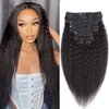 Seelaak 18 Inches 100% Human Hair Kinky Straight Clip in Hair Extensions Brazilian Remy Human Hair Kinky Straight Clip Ins for Black Women 1B# Natural Black Color 8pcs 130g/set