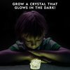 NATIONAL GEOGRAPHIC Glow-in-the-Dark Crystal Growing Lab - DIY Crystal Creation - Includes Real Fluorite Crystal Specimen
