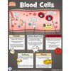 GIANTmicrobes Blood Cells Themed Gift Box, Blood Cell Plush, Blood Bank Laboratory Gifts, Lab Tech Gifts, Hematology Gifts, Leukemia Gifts