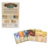 Greater Than Games | Spirit Island: Feather & Flame - Foil Panels | Cooperative Strategy Board Game Accessory | Premium Component Upgrade