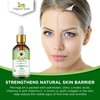 Organic Veda Moringa Oil - Pure Cold Pressed Organic Moringa Seed Oil - Natural Face Oil for Women, Moisturizing Hair Oil - Virgin Moringa Oleifera Oil for Skin, Body, Scalp Care & Nails - 1.7 fl.oz.