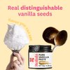 Vanilla Bean Paste and Pure Vanilla Extract for Baking (Combo Pack) - Heilala Vanilla Beans are Hand-Picked and Ethically Sourced from Polynesia, Gourmet Bourbon Variety, Loved by Bakers Worldwide