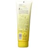 Giovanni 2chic Hair Shampoo With Ultra Revive Pineapple and Ginger Collection, 8.5 Oz, 8.5 Ounces