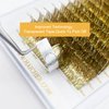 HAICHER Colored Lash Extensions CC Curl 9-18mm Mixed Lash Trays, Holographic Lash Tinsel for Eyelash Extension (Gold, Volume)