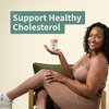 Snap Supplements Cholesterol Health - Support Healthy Cholesterol Levels and Natural Heart Health, 60 Capsules
