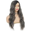 Tseses Ombre Grey Black Curly Wavy Long Wigs for Women Synthetic Hair Wigs Dark Roots Hair Women Full Wig Cosplay Halloween Party Daily Use (Ombre Grey)