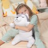 22'' Husky Stuffed Animal Plush Pillow, Huskies Anime Body Pillow, Kawaii Stuff Animal PlushToy, Big Plushie Stuffed Dog Anime Plush Throw Pillow Gifts for Boys Girls