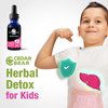 Cedar Bear Herbal Detox for Kids is a Liquid Herbal Supplement That Helps The Immune System & Protects Organs That are Often affected 2 fl oz / 60 ml