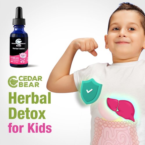 Cedar Bear Herbal Detox for Kids is a Liquid Herbal Supplement That Helps The Immune System & Protects Organs That are Often affected 2 fl oz / 60 ml
