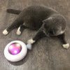 UFO Interactive Cat Toy, Ambush Electronic Cat Toy with Rotating Feather, Automatic Cat Toys Fun Smart Teaser Toy, Exercise Entertainment for Indoor Cats Kitty Catching Training Hunting, Auto On/Off
