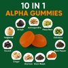 10-in-1 True Alpha Shilajit Gummies, 4000mg Himalayan Alpha Gummies for Men, Energy Boost, Immune Support, with Ashwagandha, Maca Root, Tongkat Ali, Fulvic Acid, 85+Trace Mineral, No Added Sugar, 60ct