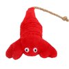 FALDAA 7 Pcs Pet Toys Set, Catnip Fish Toys, Carrot Cat Toys for Chewing, Catnip Toys Balls, Catnip Sticks, Cat Comb Massage, Catnip Cat Plush Toy Lobster