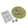 Fishing for Words, Dice Game, Word Game, Travel Game, Family Game, Bar Game, 2 to 4 players, ages 8 and up, Green