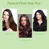 Bubble Hair Dye Shampoo,Natural Plant Hair Dye, Pure Plant Extract for Grey Hair Color Bubble Dye Plant Bubble Hair Dye Shampoo 20ml 10packs/Box (Coffee Color)