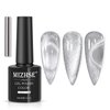 MIZHSE Universal Silver Cat Eye Gel Nail Polish, Magnetic Gel Polish Shiny Glitter Nail Gel with Magnet Stick, 10 ml Galaxy Cateye Nail Polish Soak Off UV/LED Nail Art Salon Manicure DIY at Home