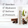 Natural Lip Balm - Organic & Natural Ingredients - Beeswax Based Moisturizing Lip Care Chapstick for Chapped Lips - Great Gift Idea - Farm & Bee - 0.15oz (Pack of 4 - Vanilla Bean)