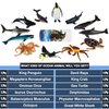 RECUR Sea Animal Toys for Kids 12pcs Ocean Animal Figures Mini Animal Toys Figures Under The Sea Party Favor for Boy Including Shark Octopus Crab Plastic Animal Figurines Bath Toys