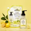 J.R. Watkins Liquid Foaming Hand Soap Lemon Refill, Pack of 1