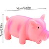 HomeSoGood Dog Chew Toy, Cute Pig Grunting Squeak Latex for Dog Puppy Toy(Pink)