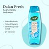 Dalan Natural Extracts Body Wash, with Fresh Pink Grapefruit & Aloe Vera & Sea Minerals, 15.2 fl oz (6 Pack, Sea Minerals)