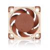 Noctua NF-A4x20 FLX, Premium Quiet Fan, 3-Pin (40x20mm, Brown), compatible with Desktop