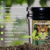 GreenGro Premium Ultrafine Myco - Mycorrhizal Inoculant & Water Soluble Root Enhancer from Superior Strains/Improves Nutrient Uptake & Eases Transplant/Indoor & Outdoor Plant Fertilizer (4 oz)