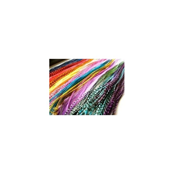 Feather Hair Extension – Vivid Grizzly and Solid Color Block Mix, 20 Individual Loose Feathers, All Ranging From 7 to 11 Inches in Length, Includes 10 Silicone Crimp Beads