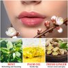 QIUFSSE Lip Plumper Gloss Lips Plumping Lip Gloss,Hydrating and Reduce Fine Lines,No Chapped Lips,Softer Bigger Fuller Lips, Natural Lip Plump Lip Care Products