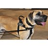 Dean & Tyler DT Universal No Pull Dog Harness - Adjustable, Strong Neoprene Nylon - for Small Breeds - Removable Patches - Size XSmall - Girth Size 21"- 25" - Includes Therapy Dog in Training Patches