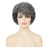 Siudus Grey Short Curly Wigs for Women with Bangs Gray Fluffy Synthetic Hair Wigs Old Lady Natural Looking Cosplay Daily Wig(Black Grey)
