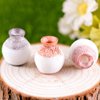 Ciieeo 24 Pcs Micro Landscape Vase Small House Flower Vase Tiny Homes Miniature Model Tiny House Decorations Mini House Accessories Tiny House Accessories Trinkets Resin Doll House