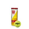 WILSON Championship Tennis Balls - Extra Duty, Single Can (4 Balls)