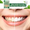 600 Pcs Mint Toothpicks Bulk Flavor Menthol Toothpicks Wood Flavored Toothpicks for Adults Natural Wooden Tooth Pick for Humans Teeth Oral Dental Health