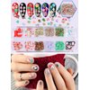 24 Grids Christmas Nail Art Slices, Lorvain 3D Polymer Nail Flakes Snowflake Santa Claus Penguin Flake Nail Art Slime Glitter Cute Nail Charms for Women Girls Face Body Crafting Nail DIY Decor (2 Box)