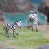 Gemini&Genius Zebras Toys for Kids, Wild Life Animal Toy Figurines African Jungle Animal Zebras Action Figure Playset Gift for Kids Educational, Cake Toppers, Party Supplies, Animal Toy Set