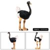 BLAPNK 2 Pcs Realistic Ostrich Figurines Cake Topper, Plastic Wildlife Animal Toy Figures Collection Playset Educational Learning Props(Ostrich)