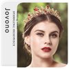 Jovono Baroque Queen Crowns Rhinestone Crowns and Tiaras Ruby Tiara Bridal Wedding Headpiece Costume Hair Accessories for Women and Girls