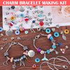 Acejoz 85 Pcs Charm Bracelet Making Kit, DIY Charm Bracelets Beads for Girls, Adults and Beginner Jewelry Making Kit