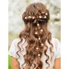 Hapdoo 20pcs Pearl Hair Clips, Gold pearl Spiral Hair Clip Bridal Pins, Vintage Wedding Braided Hair Clips Headpieces, Fashion Hair Stylish Accessories for Women Girls