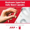 Om Mushroom Superfood Immune Defense Mushroom Capsules Superfood Supplement, 90 Count, 30 Days, Mushroom Blend, Reishi, Turkey Tail, Maitake, Agaricus Blazei, Vitamin C, Vegan