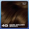 Clairol Nice'n Easy Permanent Hair Dye, 4G Dark Golden Brown Hair Color, Pack of 1