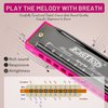 East top Blues Harmonica, Diatonic 10 Holes C Key Happy Harmonica Mouth Organ for Beginner,Kids,Children,Students,Gift,with Carrying Plastic Case,Clean Cloth and Manual