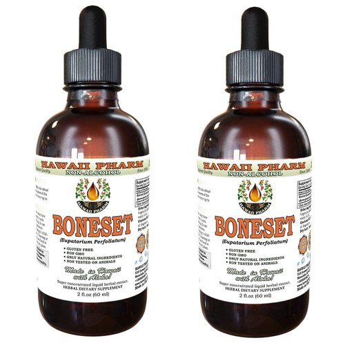 Boneset Alcohol-Free Liquid Extract, Boneset (Eupatorium perfoliatum) Dried Above-Ground Parts Glycerite Hawaii Pharm Natural Herbal Supplement 2x2 oz