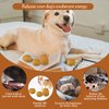 Andiker Dog Egg Toy, Make Sound 2pcs Soft Rubber Dog Squeaky Toy Interactive Puppy Toys for Small Dogs Fetch Play Soft Rubber Fake Egg Bouncy Balls Durable Natural Rubber Dog Chew Toys (Skin)