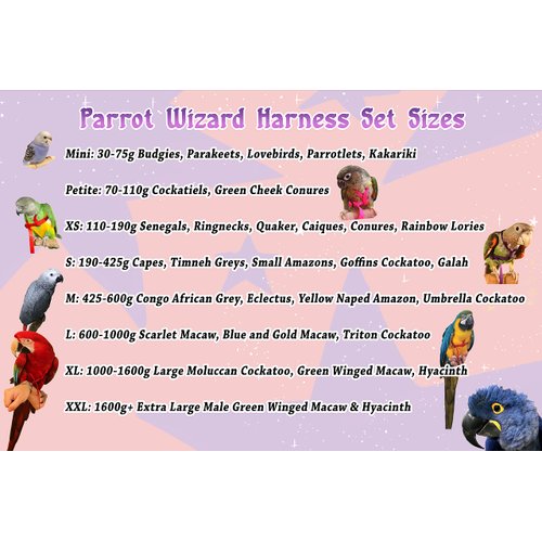 Parrot Wizard Bird Harness Set (Petite, Blue)