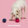 BARK Ruffberry Blast Dog Toy for Small Dogs – Treat Dispensing Toy with Wacky Bounce, Perfect for Kibble or Favorite Treats