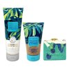 Bath & Body Works Thailand Sweet Kiwi & Starfruit Moisturizing Body Wash and Body Scrub Set with an Aloe Vera Bar Soap - Full Size