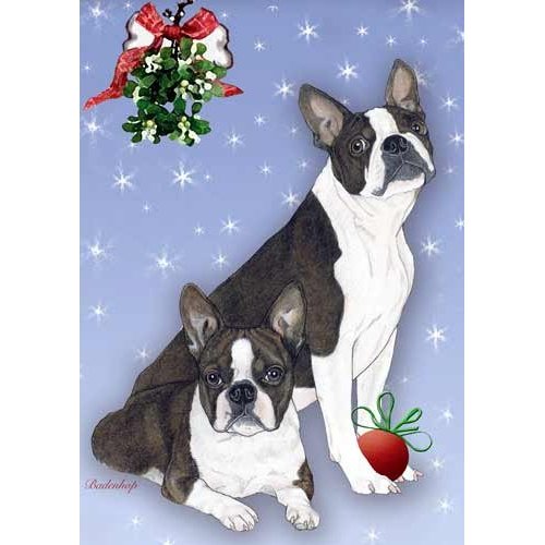 Boston Terrier Christmas Cards : 10 Holiday Cards with White Envelopes