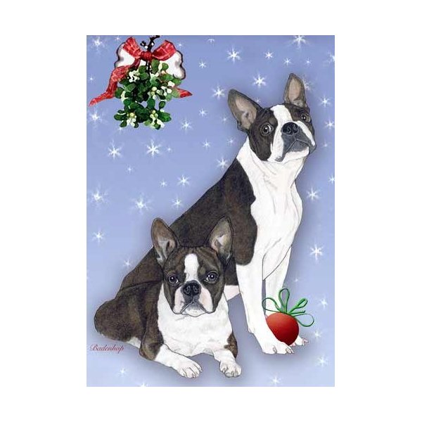 Boston Terrier Christmas Cards : 10 Holiday Cards with White Envelopes